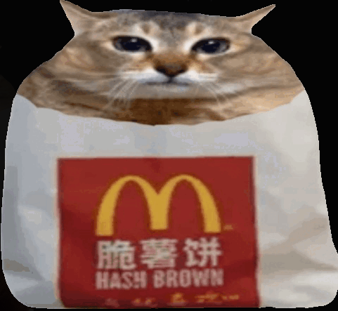 hashbrown cat