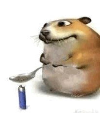 hamster